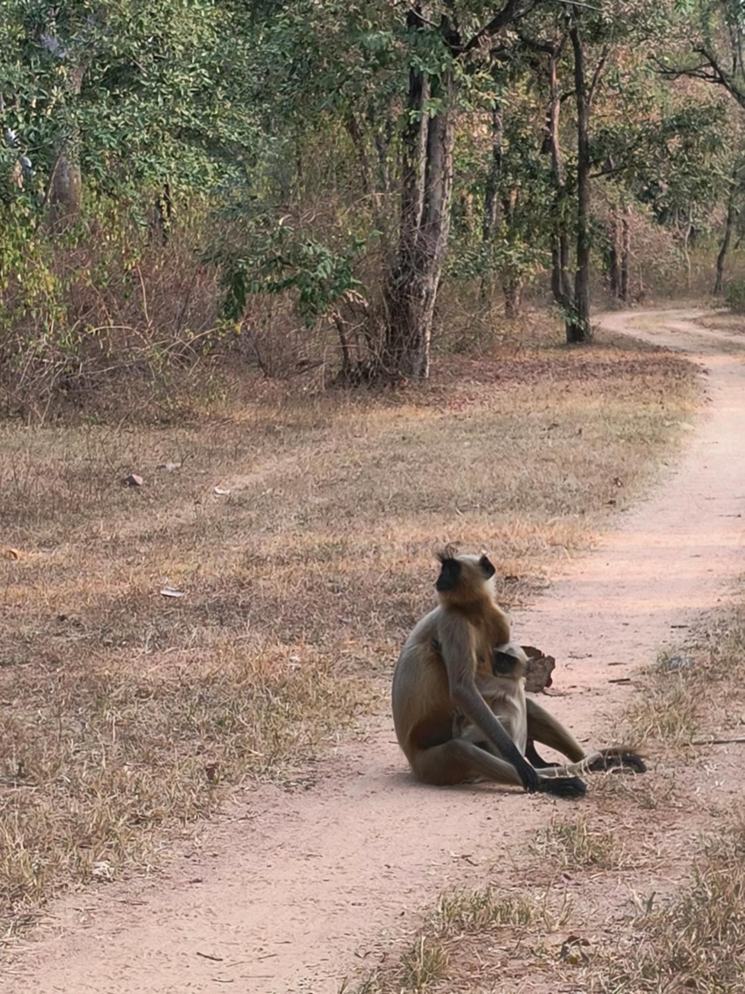 Khajuraho Dreams Homestay Dış mekan fotoğraf